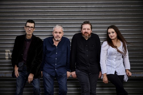 Getting to know… Sunbirds