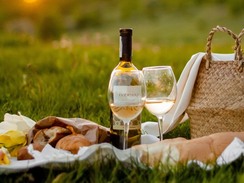 Planning The Perfect Picnic