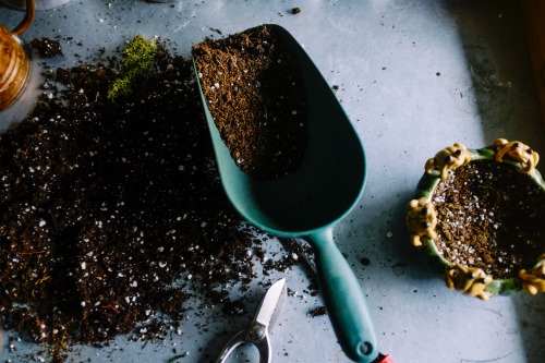 Lottie Hawkins on Tackling Climate Change Through her Innovative Start-up Company Earthly Biochar