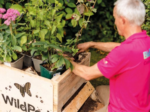 How You Can Make a Habitat For Wildlife in Your Garden and the Importance of Teaching Children About Nature