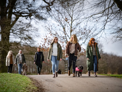 10 Dog-Friendly Days Out Across Yorkshire and the North East