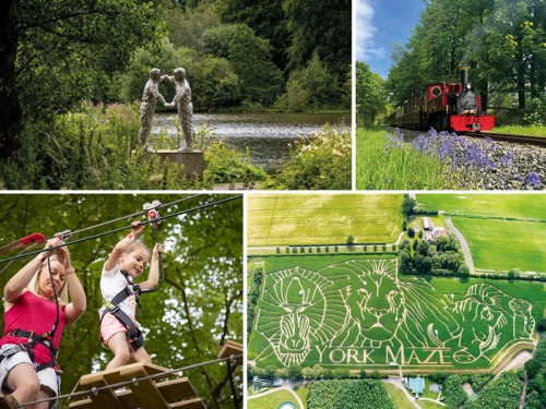Where to Go With Your Family in Yorkshire This Summer