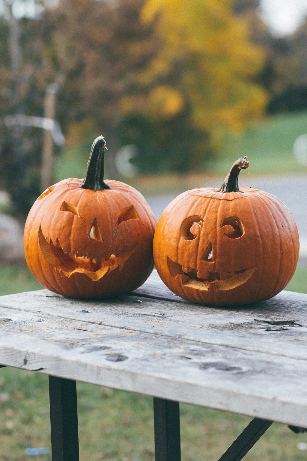 39 Fresh Pumpkin Carving Ideas That Won't Leave You Indifferent - DigsDigs