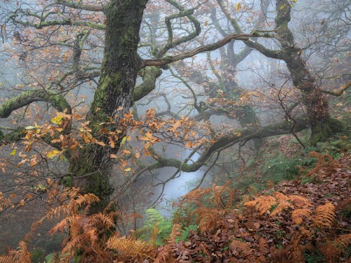 Yorkshire Photographer Captures the County's Moorland in Seven Stunning Pictures