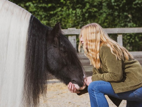 Meet The County Durham Equine Massage Therapist Caring for Our Horses