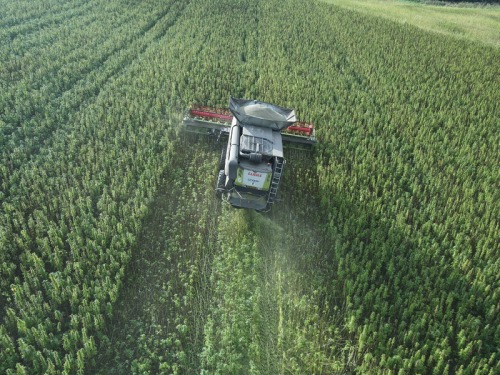 Northumberland Farmer and Businessman on the Benefits of Growing Hemp and Why There's a Market for the Crop