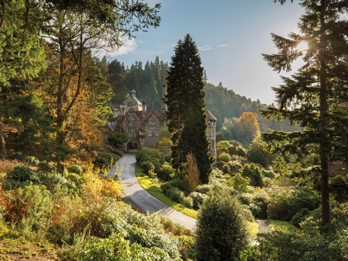 Explore the Stunning Grounds of Cragside for a Family-Friendly Day Out this Autumn