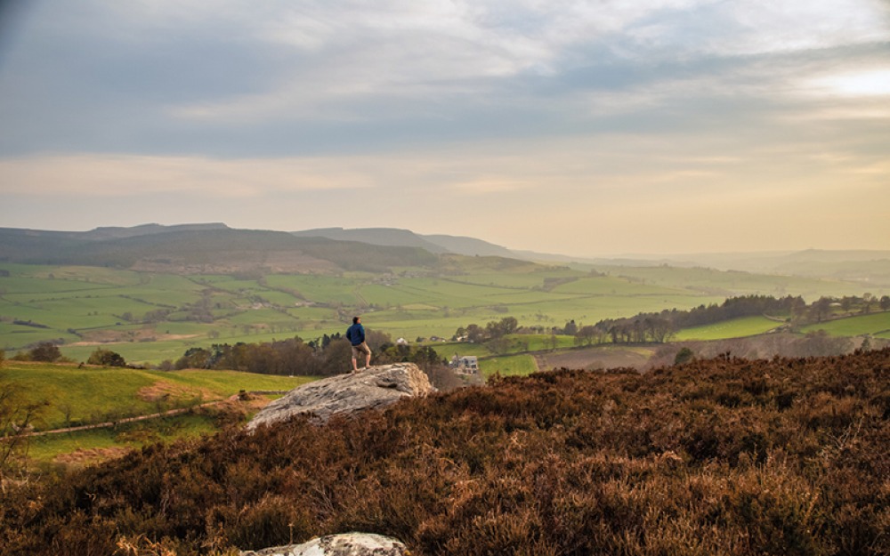 10 Walks and Hikes from the Wild Guide to North East England by Sarah ...