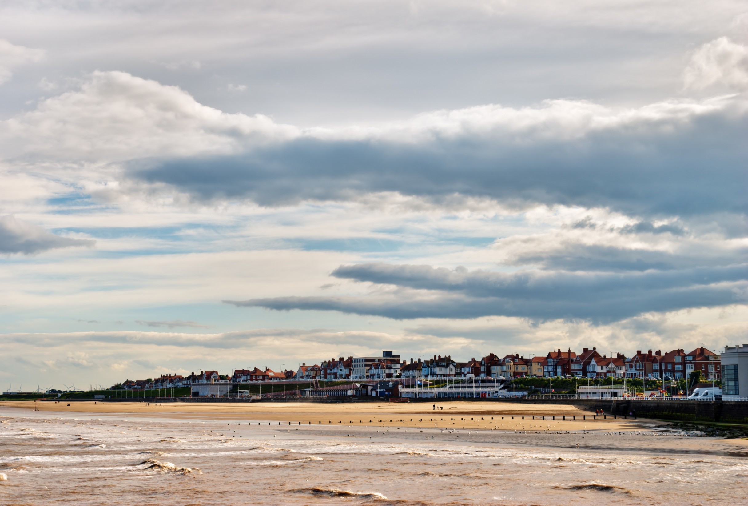 are dogs allowed on bridlington south beach