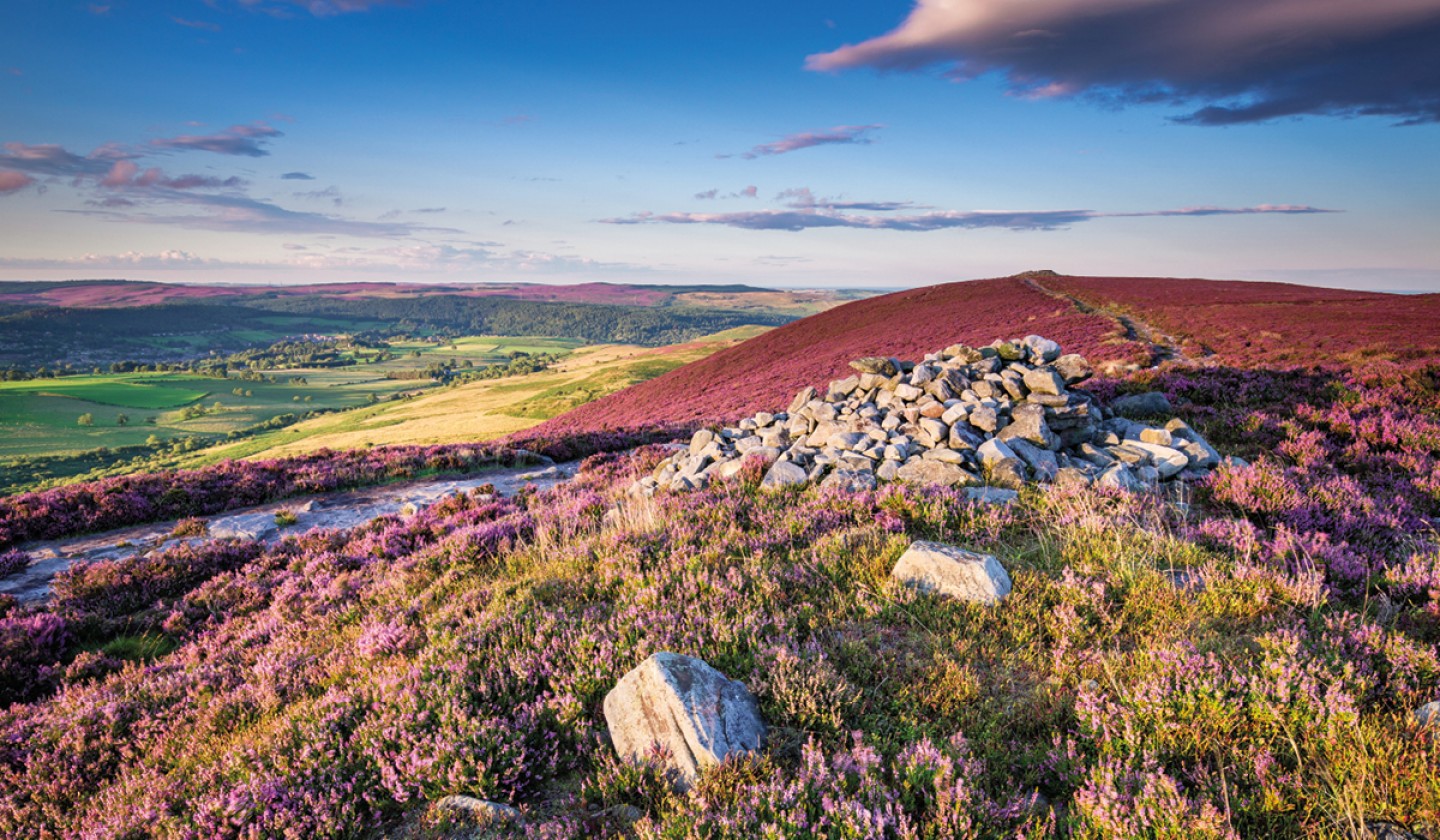 Eight Pictures Show the Beauty of the North East Countryside including ...