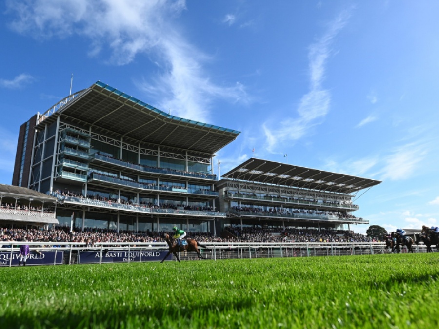 Win Tickets for the Juddmonte International at York races Ebor Festival ...